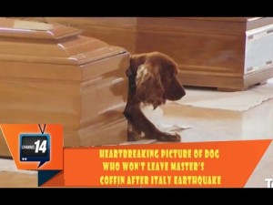 Σύμβολο πίστης και αφοσίωσης: Σκύλος «φυλάει» το φέρετρο του ιδιοκτήτη του στην Ιταλία (Video)