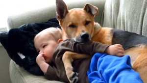 Το βίντεο που συγκίνησε όλο το διαδίκτυο: Σκύλος αγκαλιάζει άρρωστο μωρό για να το ζεστάνει!