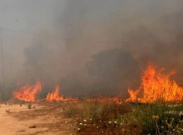 Ομολόγησε ο εμπρηστής για τρεις φωτιές στη Μεσσηνία – «Με εξιτάρει να βλέπω την κινητικότητα της πυροσβεστικής»