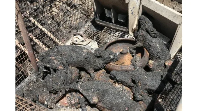 Εικόνες βιβλικής καταστροφής από τη φωτιά στα νότια του Δ Φαιστού Συνελήφθη ο ένας ύποπτος (pics)