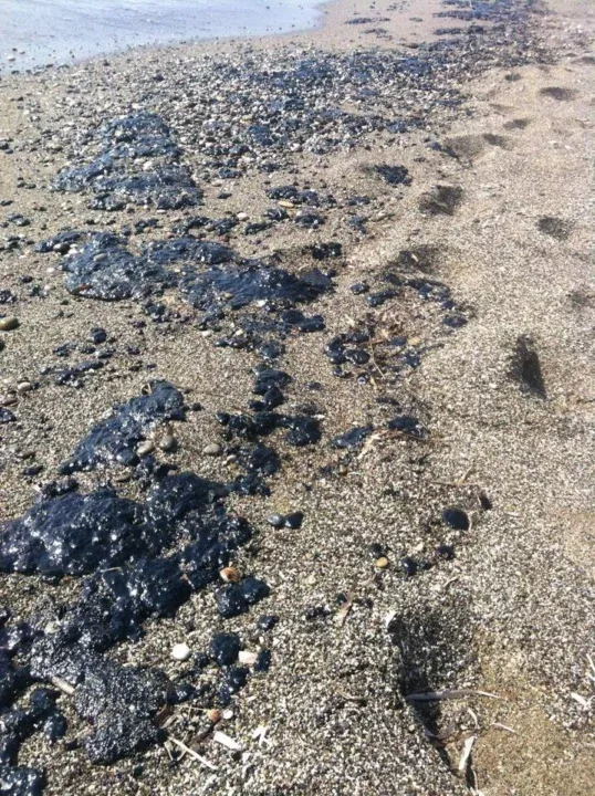 Ντροπή τους: Γέμισε με Πίσσες η παραλία του Κομμού και η θάλασσα πετρέλαιο (pics)