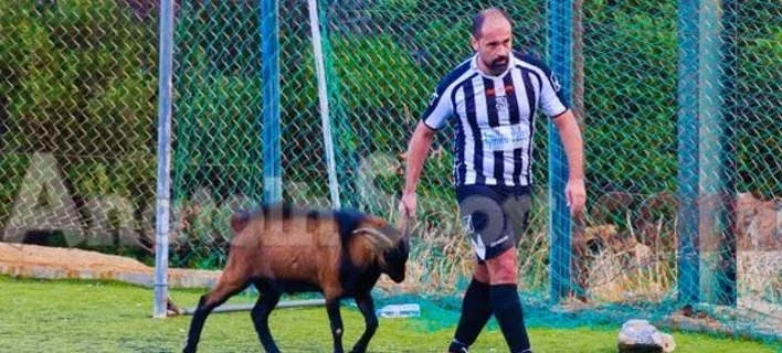 Τράγος εισέβαλε σε γήπεδο και διέκοψε ποδοσφαιρικό αγώνα στην Κρήτη [βίντεο]