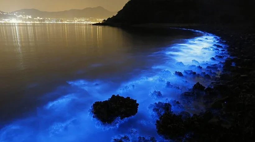 Εντυπωσιακές φωτογραφίες – Γιατί η θάλασσα βάφτηκε μπλε στο Χονγκ Κονγκ; Επικίνδυνο για τη θαλάσσια ζωή