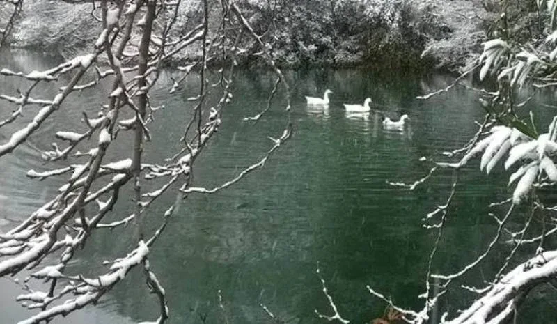 Κρύσταλλο” η λίμνη του Ζαρού από το χιονιά, με τις εικόνες από όλη την Κρήτη να είναι…μαγικές (pics)
