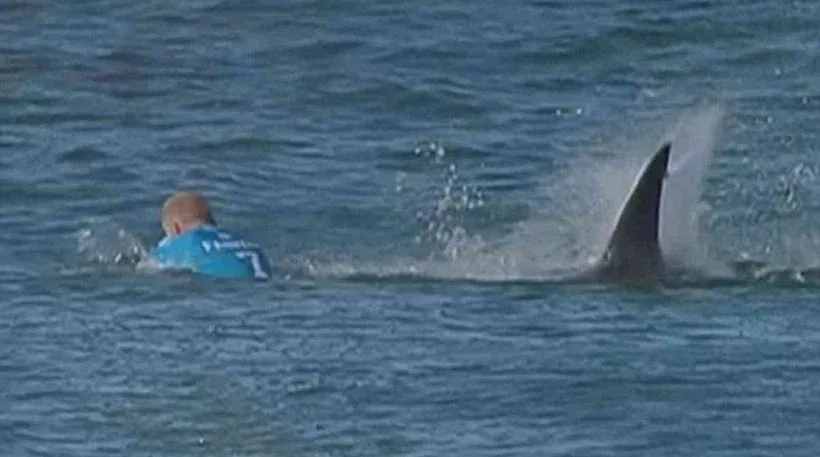 Συγκλονιστικό βίντεο: Καρχαρίας επιτίθεται σε διάσημο σέρφερ την ώρα που διαγωνίζεται (Photo)