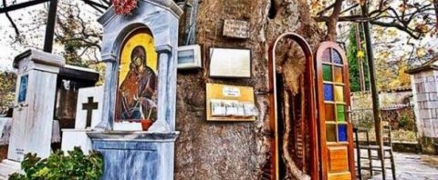 Μοναδικό στην Ελλάδα: Το Εκκλησάκι της Παναγίας που βρίσκεται μέσα σε έναν τεράστιο πλάτανο!(Photos)