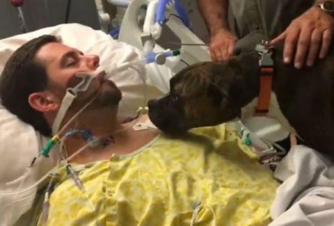 Η στιγμή που συγκίνησε τον πλανήτη: Νοσοκομείο επιτρέπει την είσοδο σε σκύλο για να αποχαιρετήσει τον ιδιοκτήτη του (video)