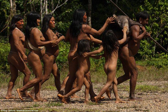 Ανακάλυψαν νέα Ανθρώπινη Φυλή που ζει Πάνω σε Δέντρα στον Αμαζόνιο. Αυτό όμως που Σόκαρε τους Επιστήμονες είναι.