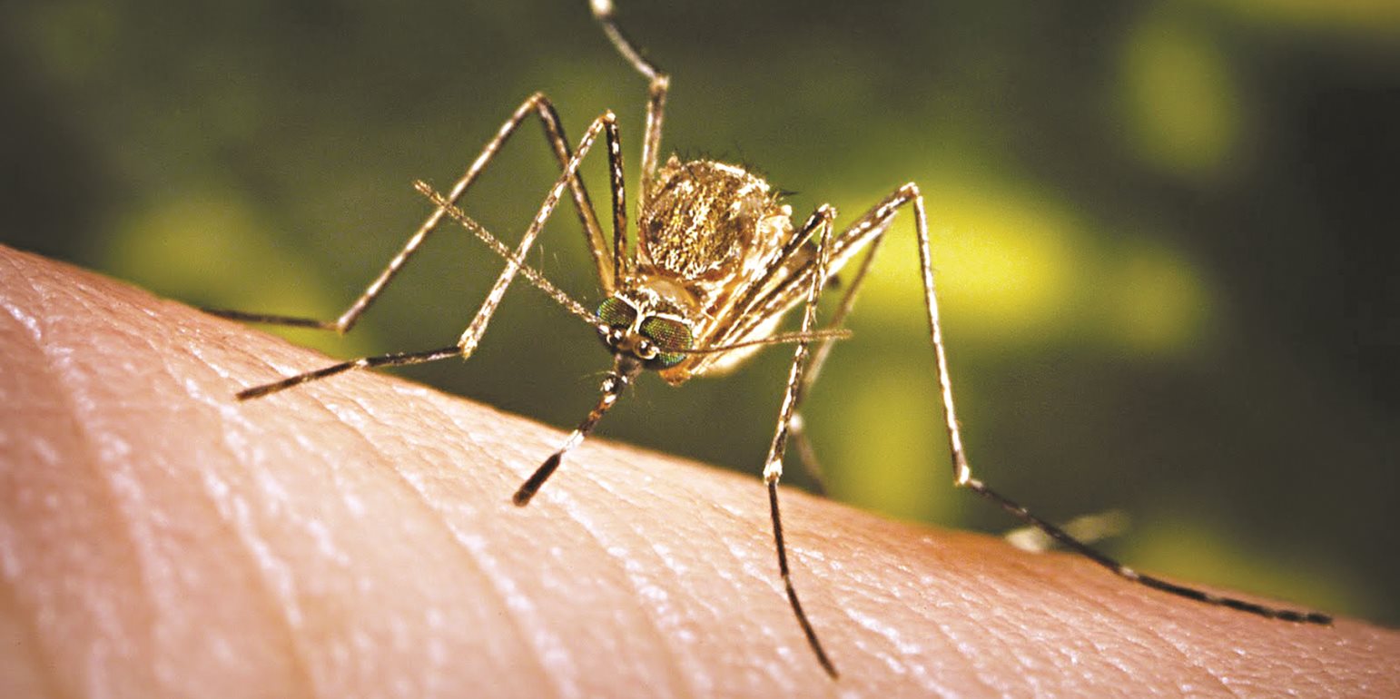 Τρόποι για ν’ απαλλαγείτε από τη φαγούρα του τσιμπήματος των κουνουπιών