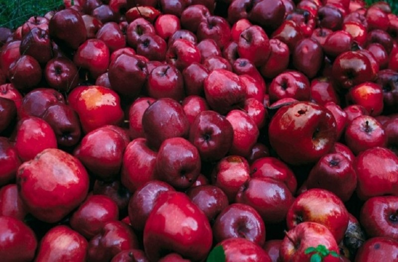 Απίστευτο περιστατικό: Υπάλληλοι σουπερμάρκετ απολύθηκαν γιατί πούλησαν… 15.000 μήλα!