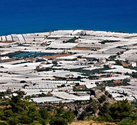 Σε απόγνωση οι ιδιοκτήτες θερμοκηπίων στην Κρήτη θα  «ξηλώσουν» χιλιάδες στρέμματα θερμοκηπίων