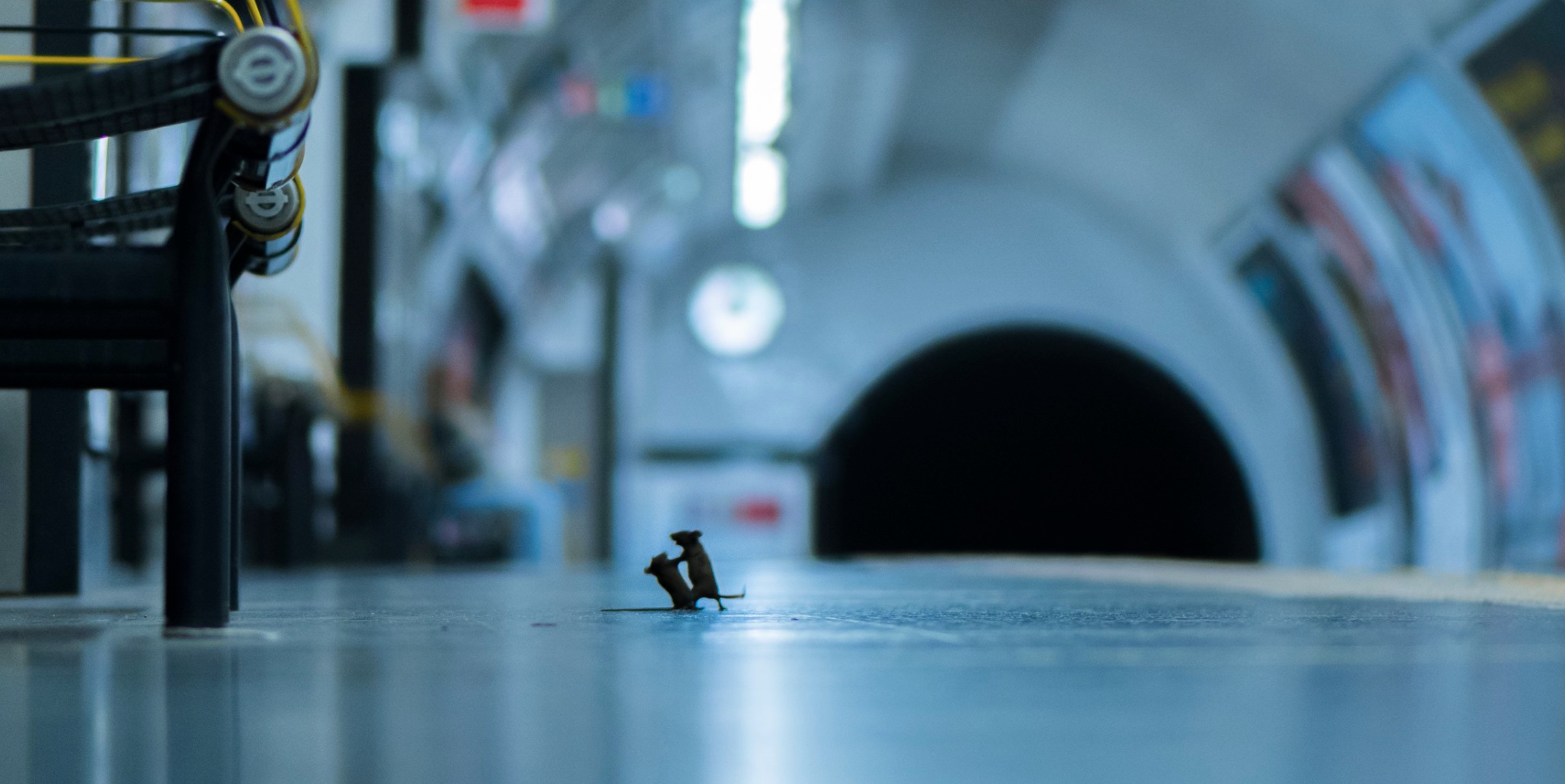 Δύο ποντίκια που «μαλώνουν» στο μετρό Λονδίνου….είναι η καλύτερη φωτογραφία της χρονιάς