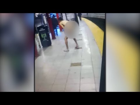 Γυμνός άνδρας έριξε επιβάτη στις ράγες του μετρό και σκοτώθηκε ο ίδιος (video)