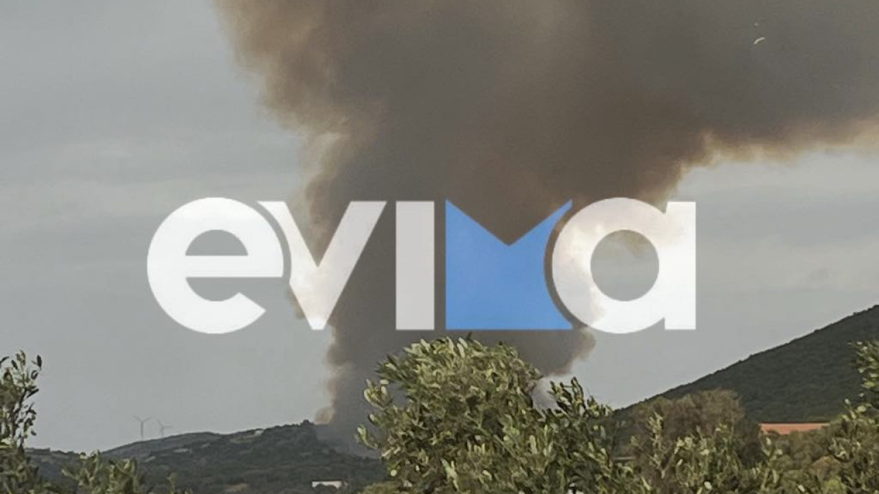 Εύβοια: Οριοθετημένη και χωρίς ενεργό μέτωπο η φωτιά στον Αλμυροπόταμο