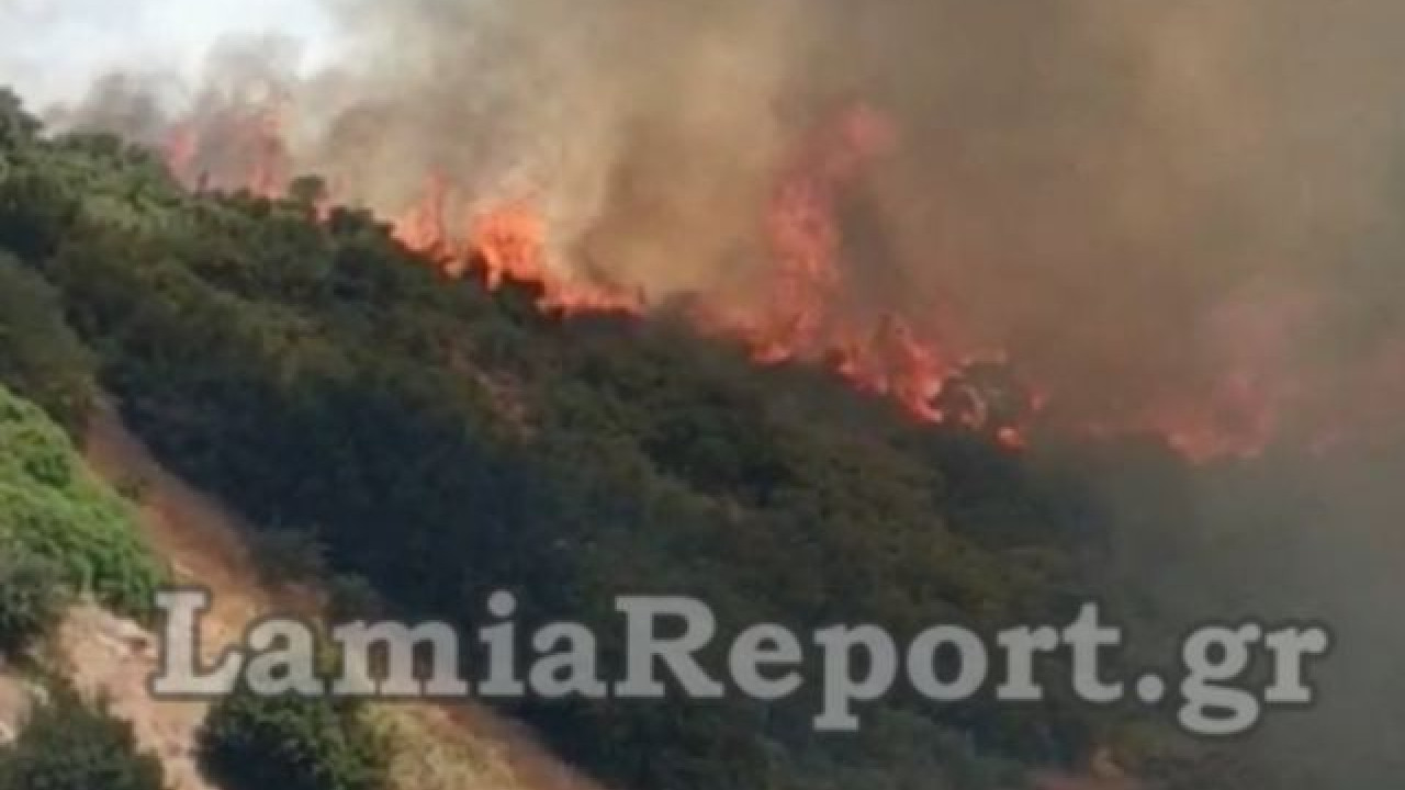 Λαμία: Μεγάλη φωτιά σε εξέλιξη στην Καμηλόβρυση