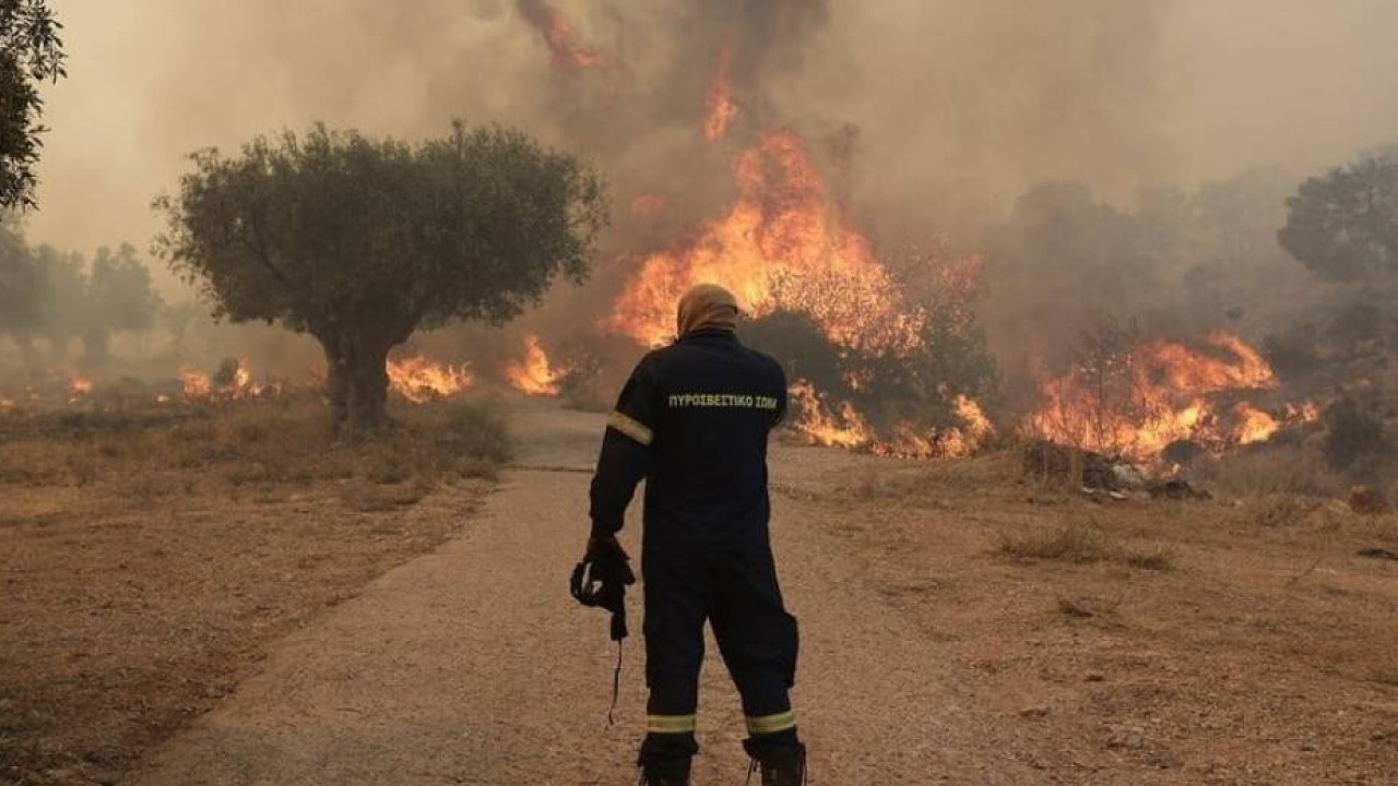 Θεσσαλονίκη: Στο Αυτόφωρο 61χρονος για τη φωτιά στον Μελισσουργό