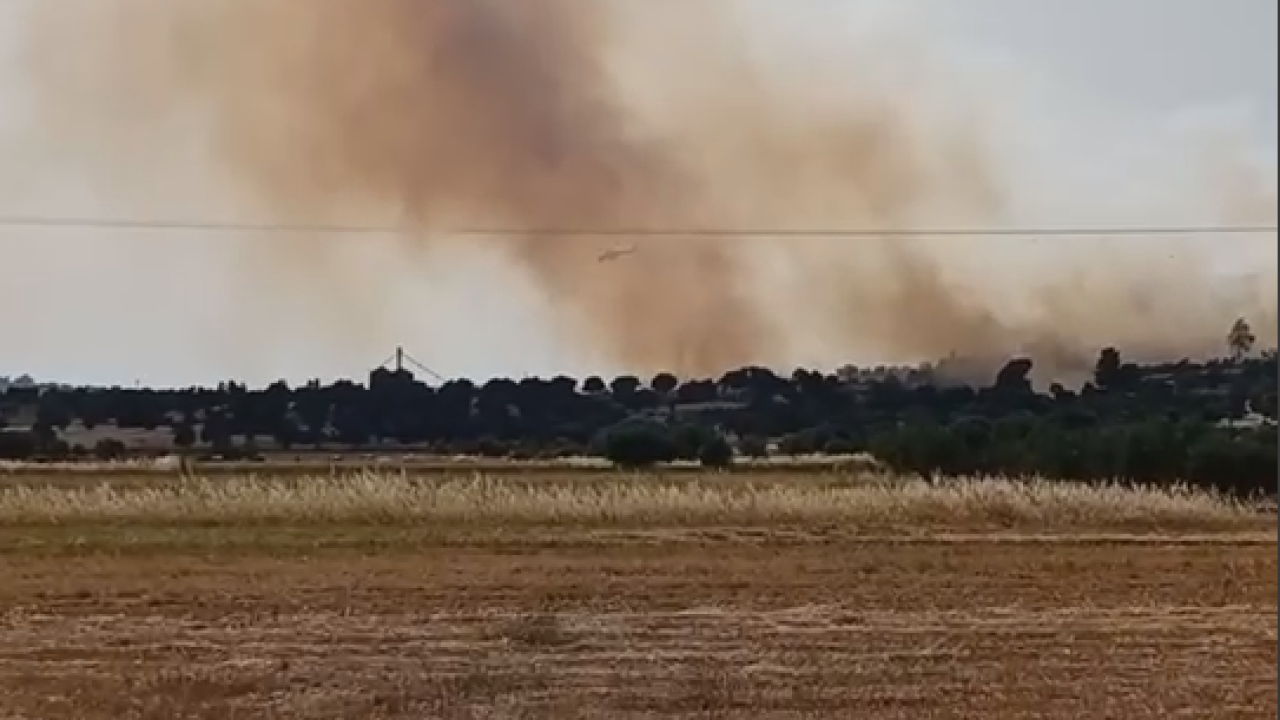 Τουλάχιστον 41 φωτιές τις τελευταίες 24 ώρες – Οι 37 αντιμετωπίστηκαν άμεσα