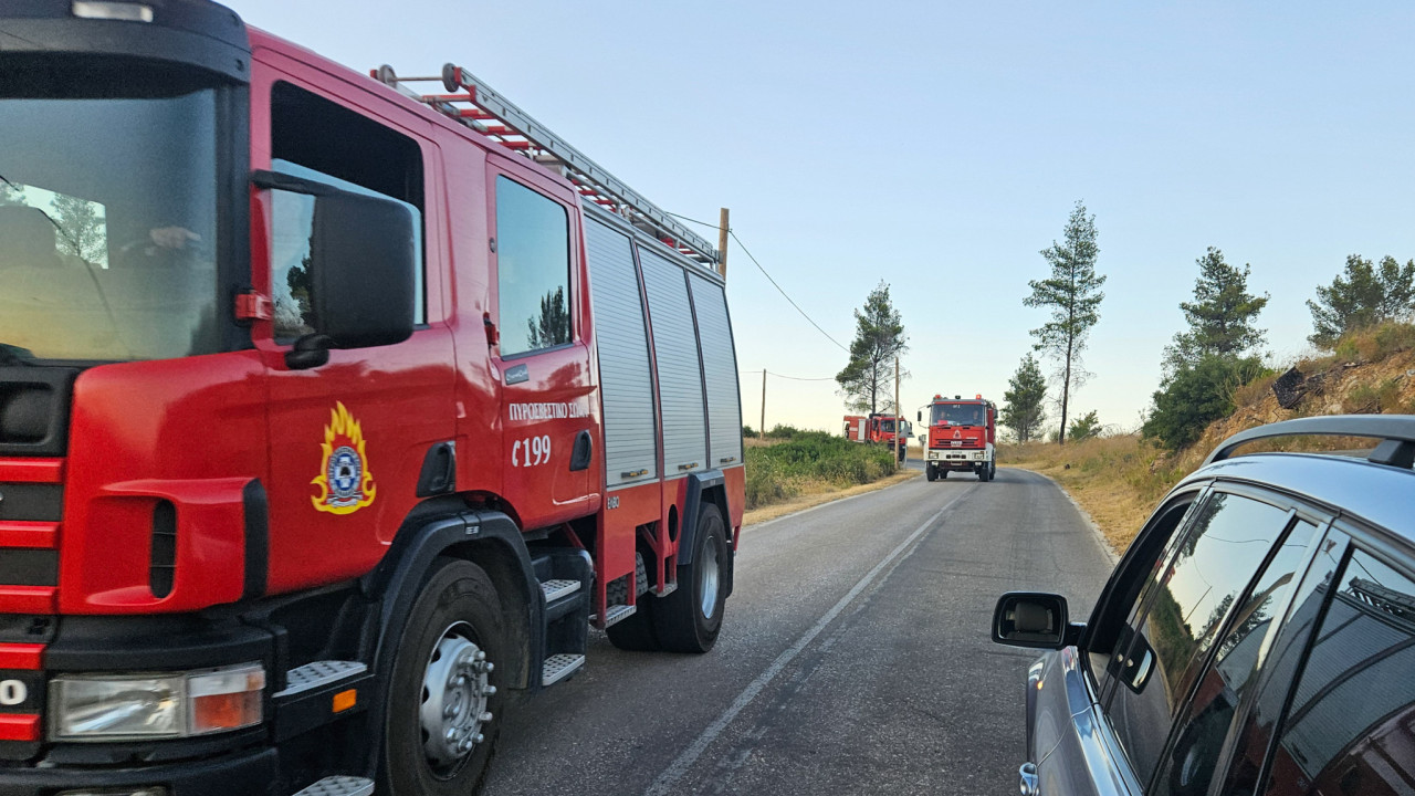 Πυρκαγιά σε δασική έκταση στο Λαύριο – Σηκώθηκαν εναέρια μέσα