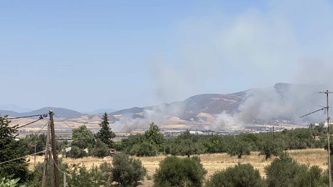 Πυροσβεστική: Δύο συλλήψεις για πρόκληση πυρκαγιών σε Ηλεία και Αττική