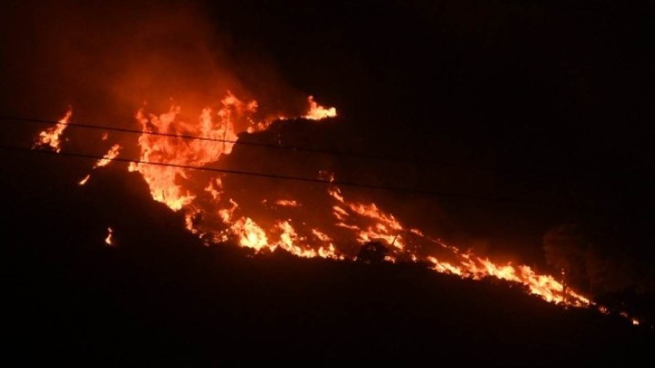 Υπό μερικό έλεγχο η πυρκαγιά σε δασική έκταση στον Ωρωπό