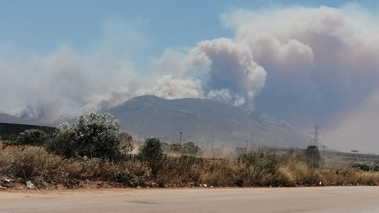 Μαρκόπουλο: Πυρκαγιά στη βιομηχανική ζώνη