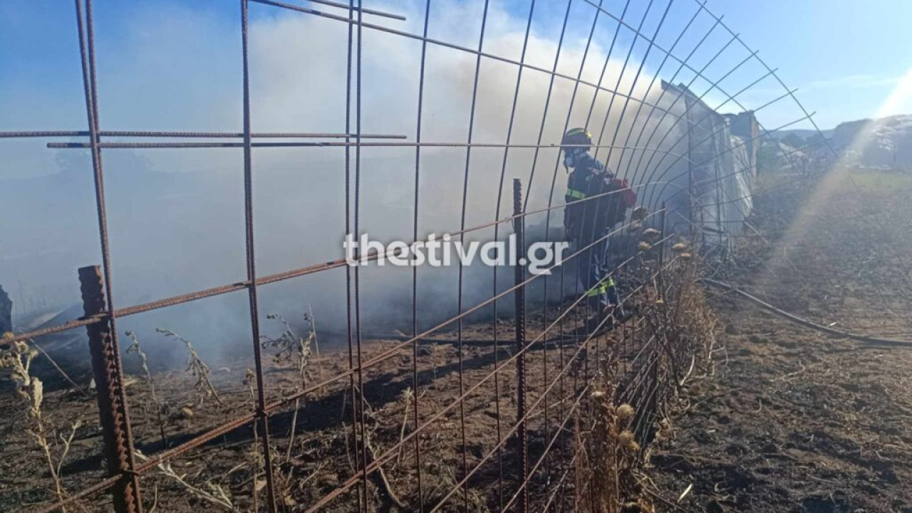 Θεσσαλονίκη: Κάηκε ποιμνιοστάσιο με ζώα από τη μεγάλη φωτιά στον Λαγκαδά