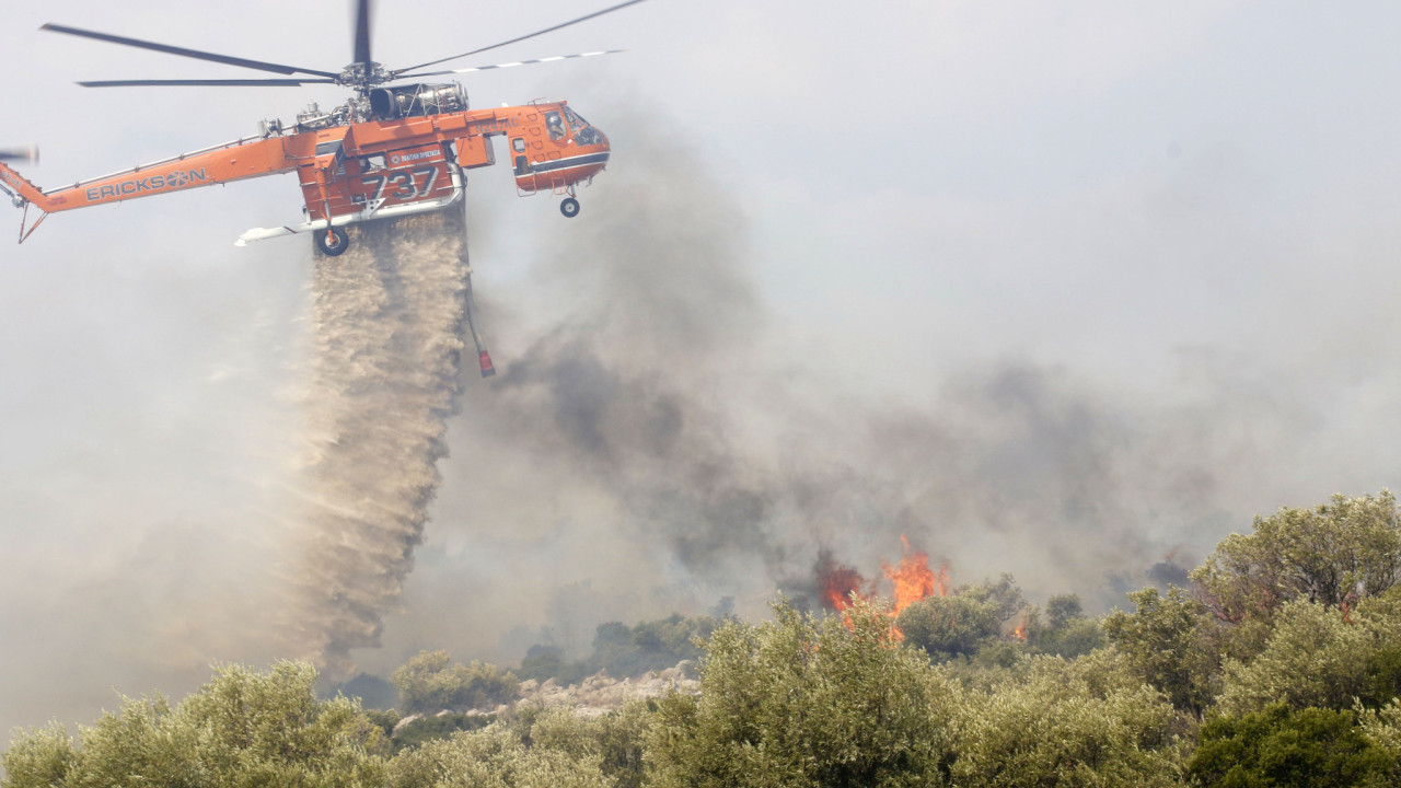 Φωτιά στο Αλιμάκι Μεσσηνίας – Σηκώθηκαν εναέρια μέσα