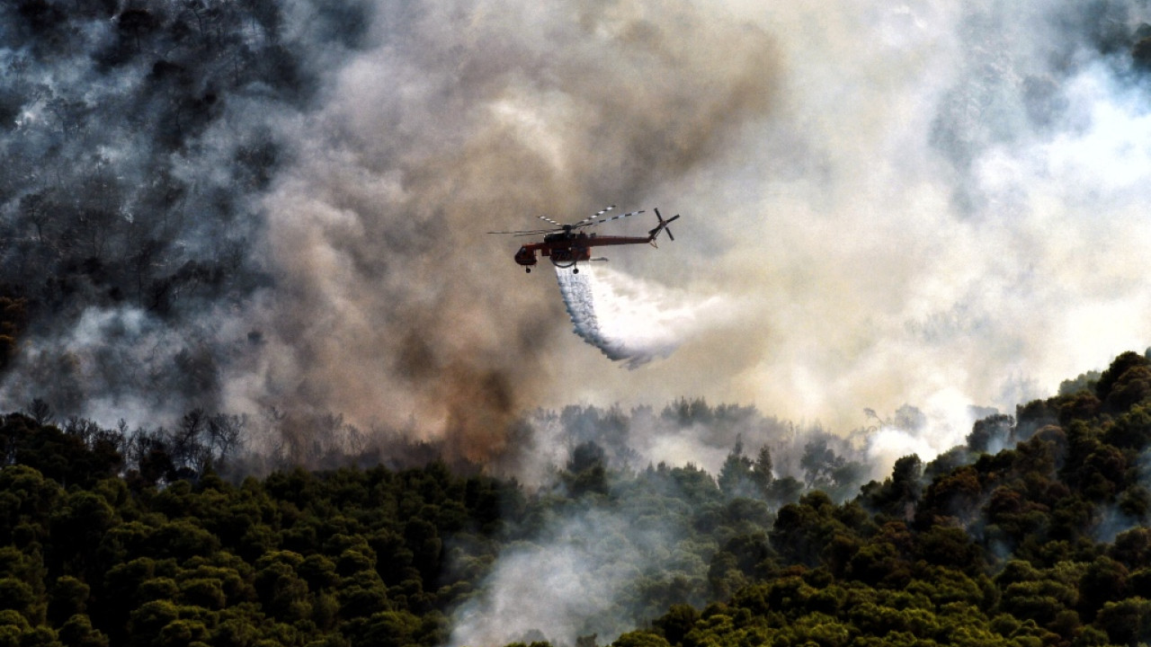 Φωτιά στο Ελευθεροχώρι Πέλλας – Σηκώθηκαν εναέρια μέσα