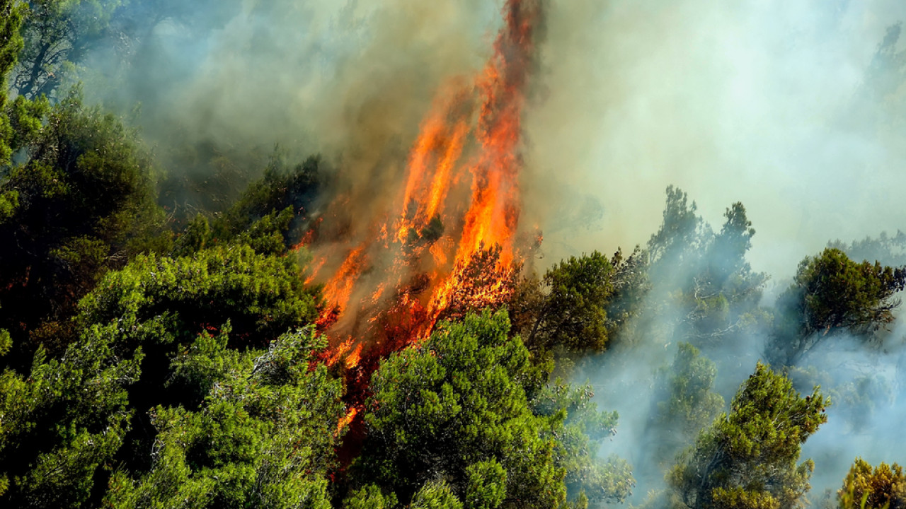 Ελλάδα: 54 φωτιές το τελευταίο 24ωρο – 3 συλλήψεις