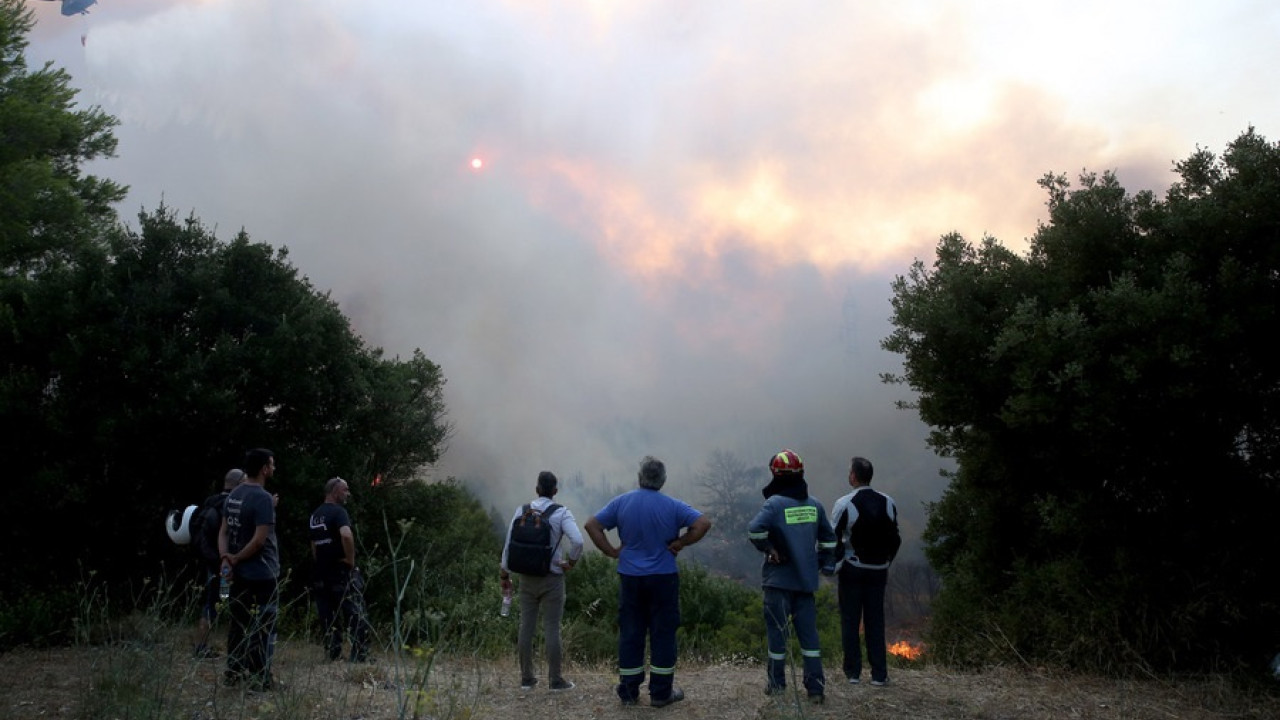 Μία σύλληψη για την πυρκαγιά στη Θέα Βαρυμπόμπης