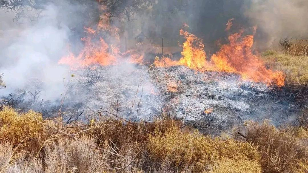 Φωτιά στα Καλύβια: Αποκαταστάθηκε η κυκλοφορία στη λεωφόρο Σουνίου