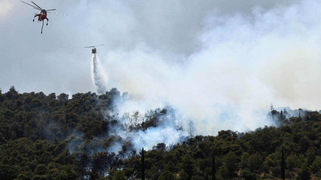 Φωτιά σε αγροτοδασική έκταση στο Κεφαλόβρυσο Λάρισας