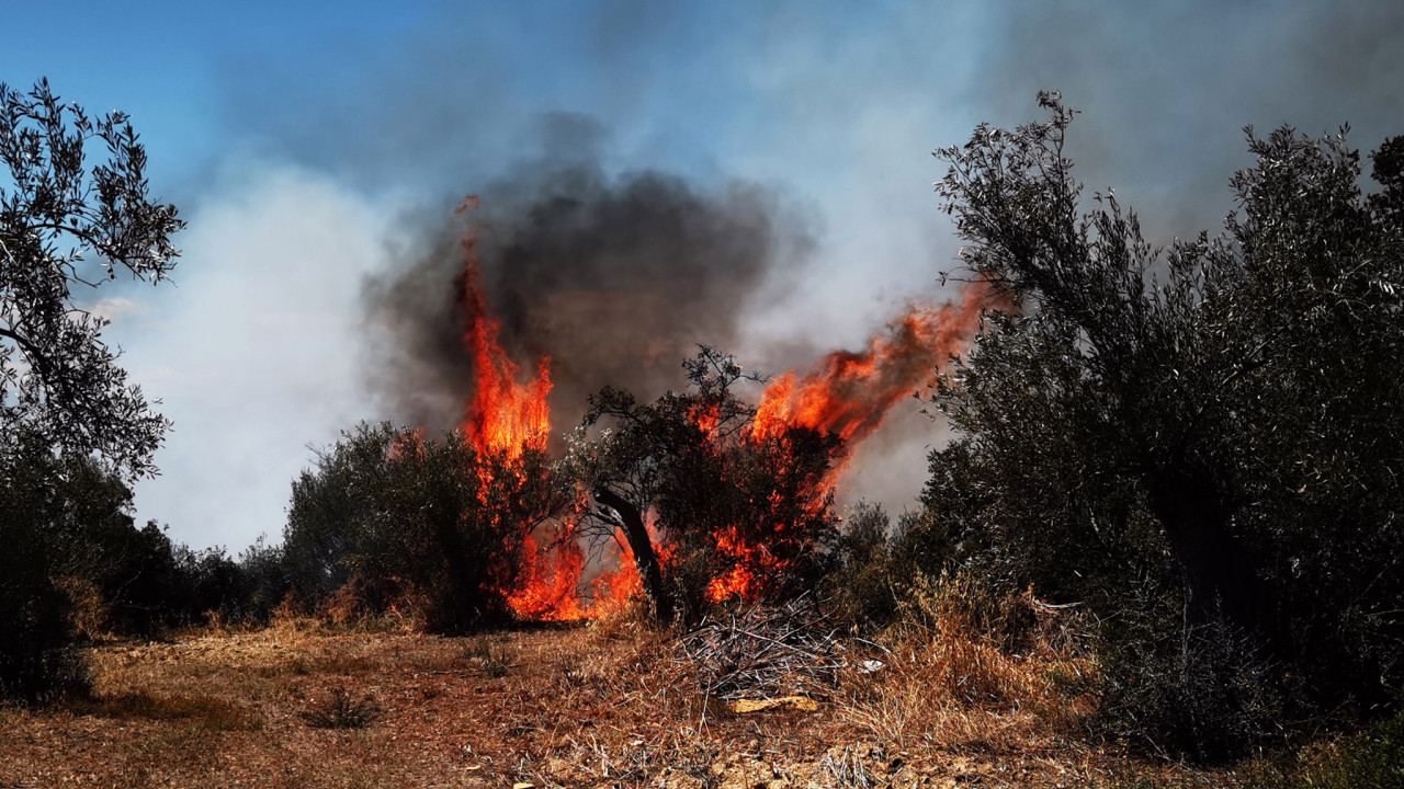 Άνω Γλυφάδα: 2 προσαγωγές για τη φωτιά