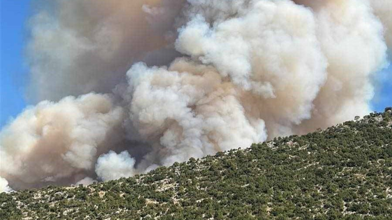 Φωτιά στον Παλαμπά Θεσπρωτίας – Βρίσκεται κοντά σε σπίτια – Ήχησε 112