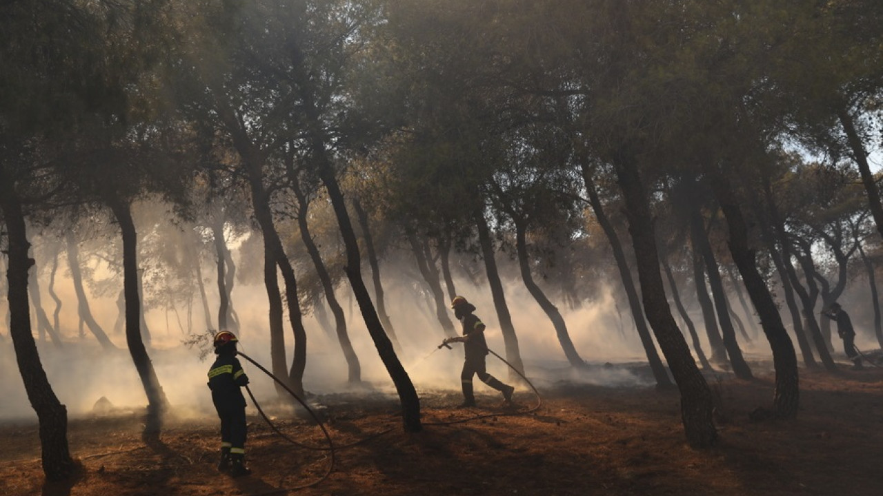 Σε πλήρη εξέλιξη η φωτιά στη Νέα Μάκρη – Νέο μήνυμα από το 112