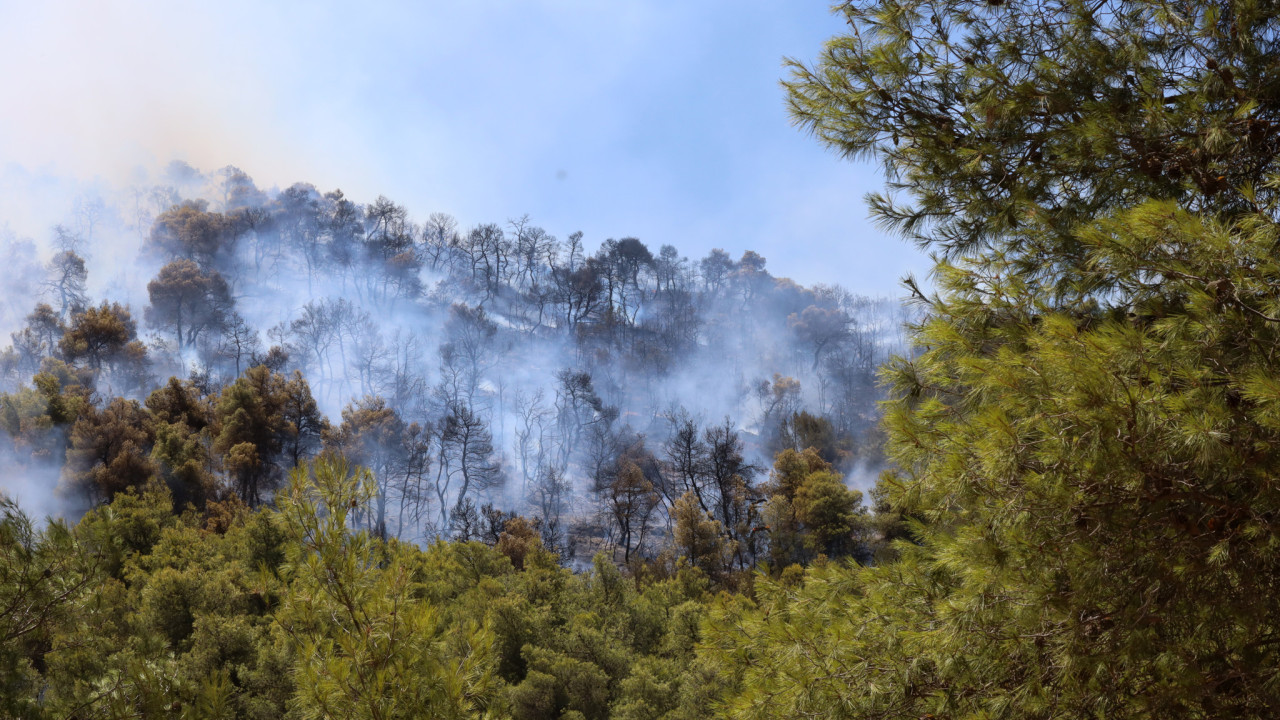 Θεσσαλονίκη: Φωτιά στον Λαγκαδά | ΣΚΑΪ