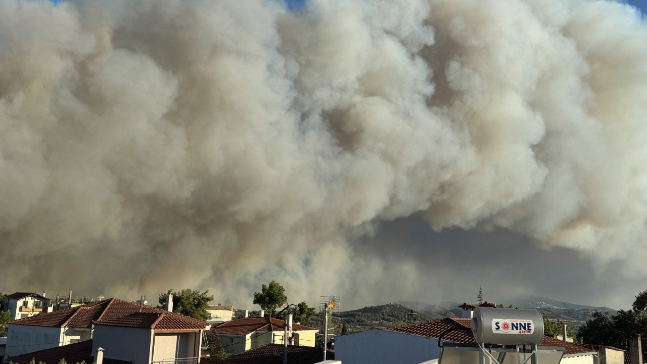 Δήμαρχος Διονύσου: Σε κατάσταση έκτακτης ανάγκης ο δήμος λόγω της πυρκαγιάς