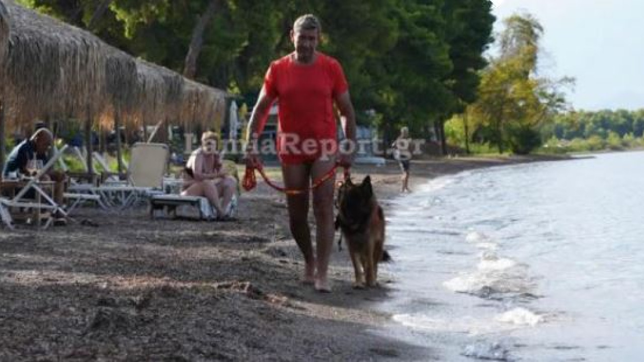 Φθιώτιδα: Σκύλος ναυαγοσώστης έσωσε από πνιγμό λουόμενο στα Καμένα Βούρλα- Βίντεο