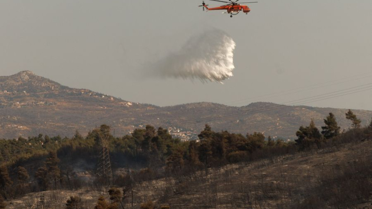 Bloomberg: Παρά τον διπλάσιο αριθμό πυρκαγιών φέτος, η Ελλάδα τα πήγε καλύτερα