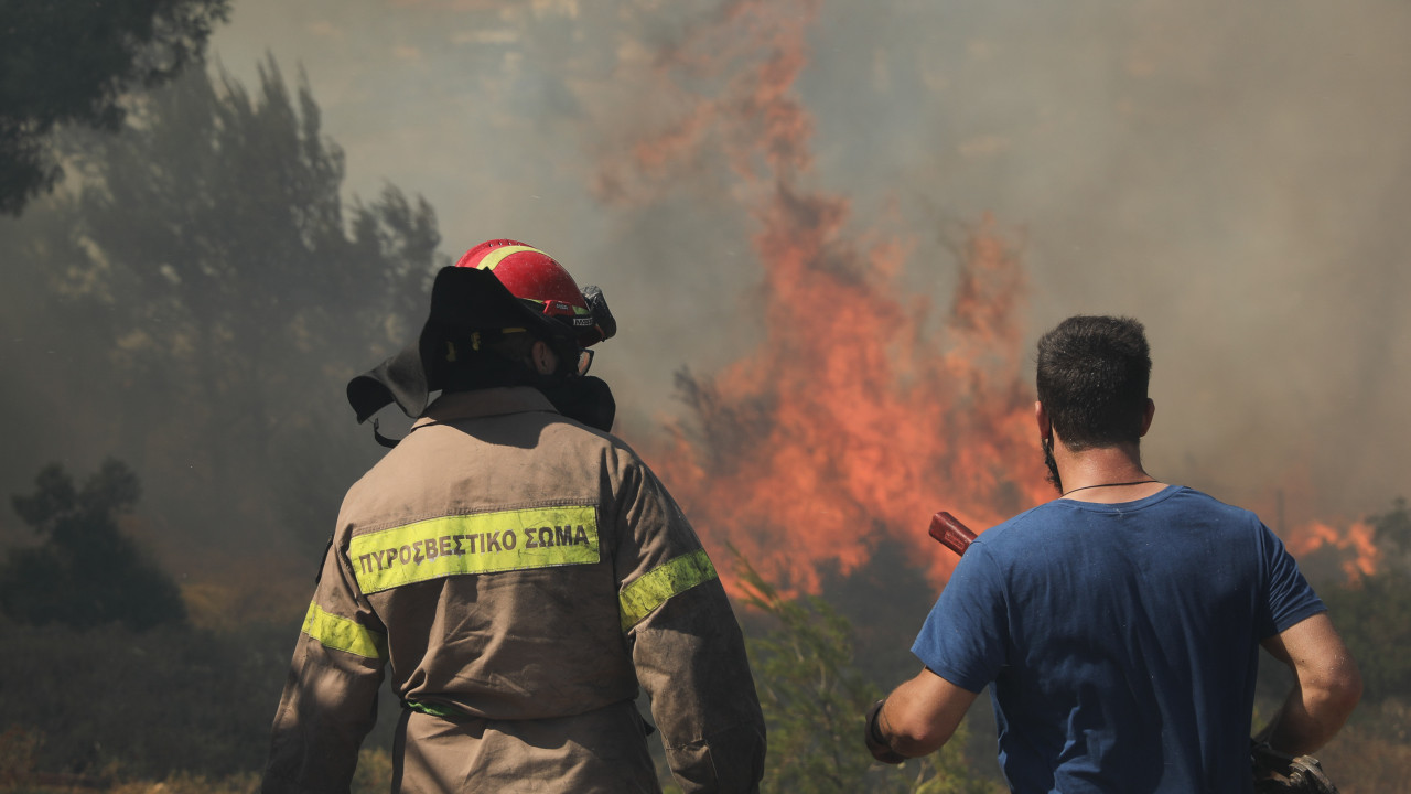 Φωτιά στο Καπανδρίτι | ΣΚΑΪ