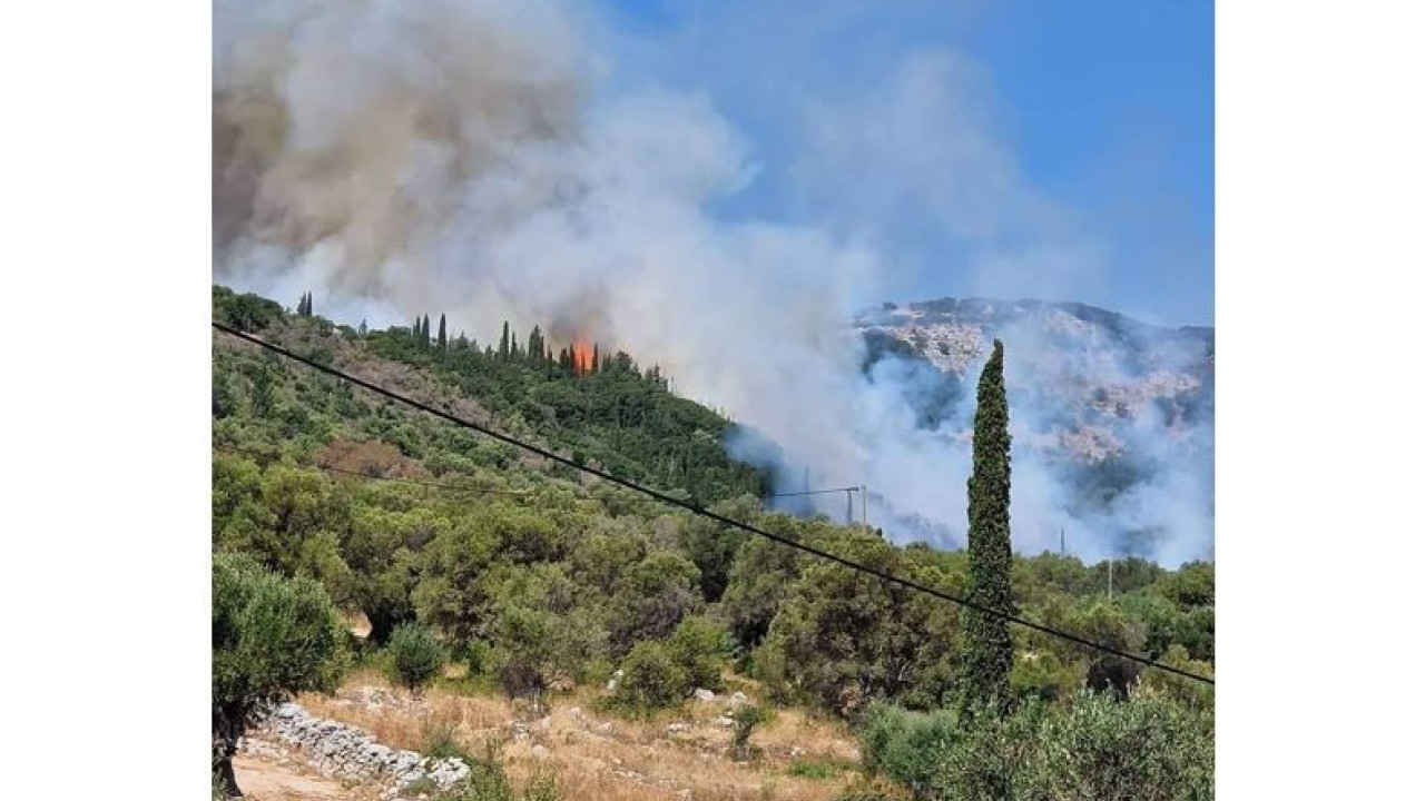 Ζάκυνθος: Συνελήφθη παλιός γνώριμος των πυροσβεστικών αρχών για 2 φωτιές