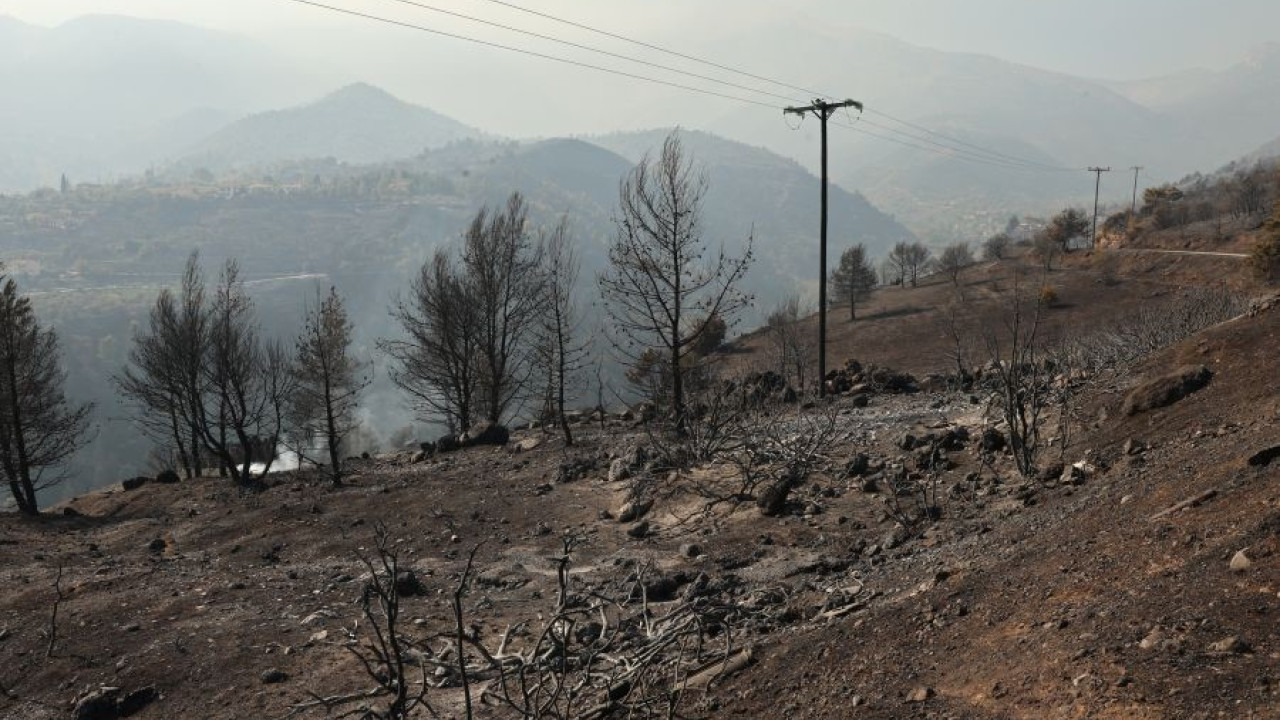 Φωτιά στο Ξυλόκαστρο: Πρόστιμο σε μελισσοκόμο για εργασίες την ημέρα που ξεκίνησε η πυρκαγιά