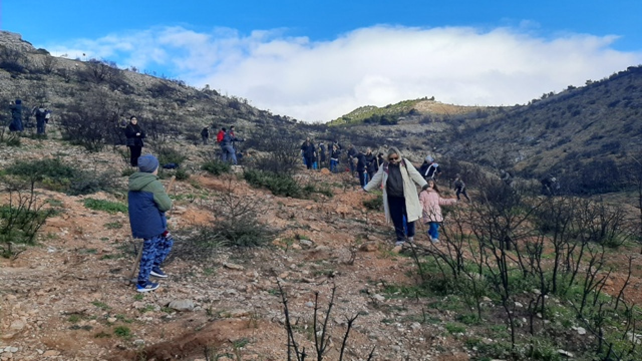 Όλοι μαζί μπορούμε: Η 1η Δενδροφύτευση στον Υμηττό