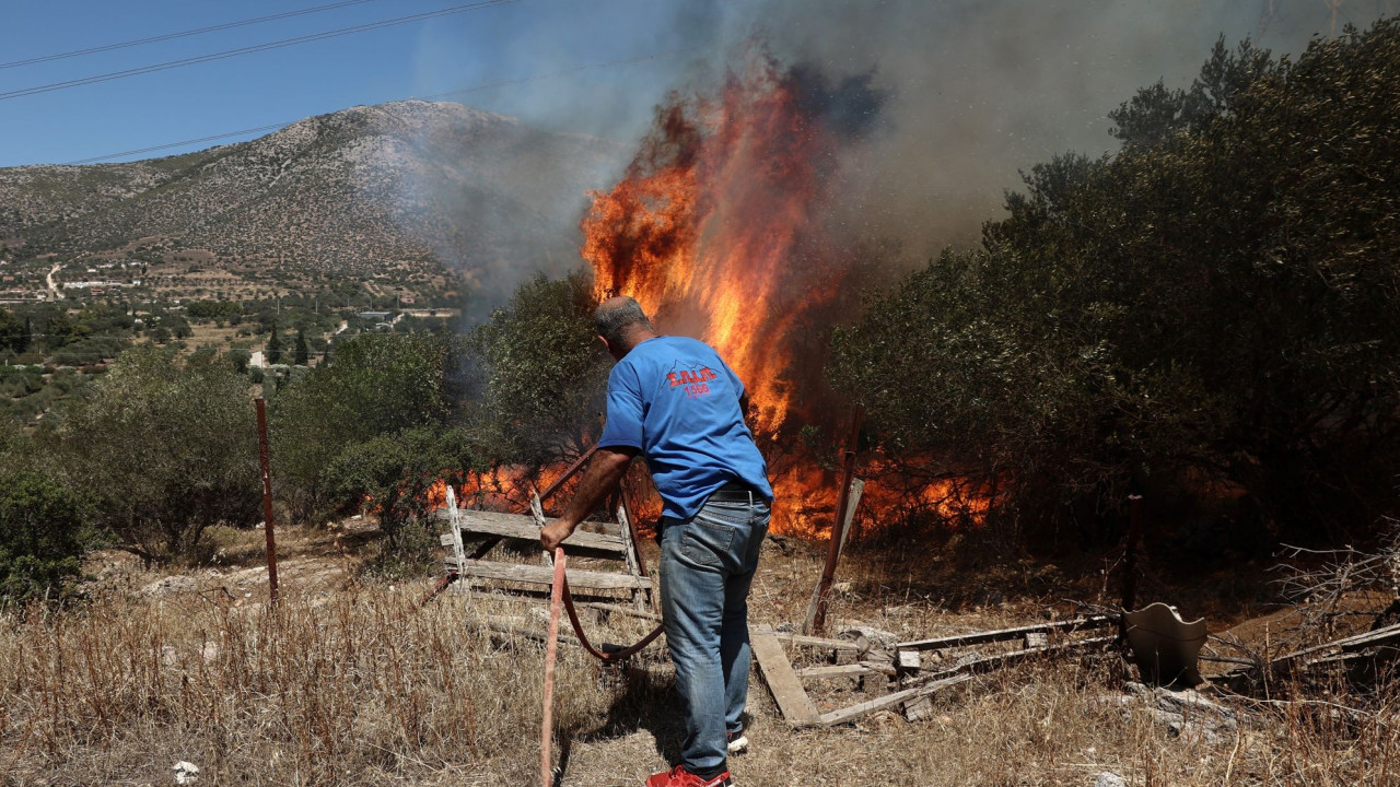 Φωτιά στην Κερατέα | ΣΚΑΪ