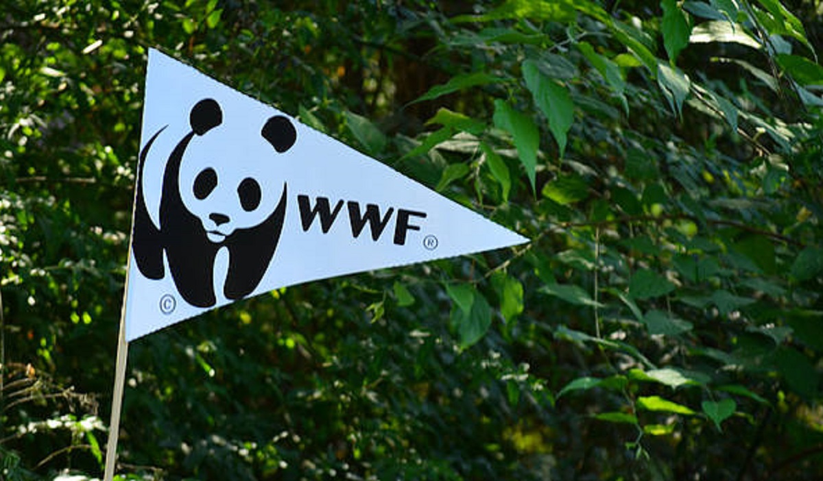 ΕΤΕπ: Χρηματοδοτική πρωτοβουλία με το WWF για την ενίσχυση της προστασίας του περιβάλλοντος