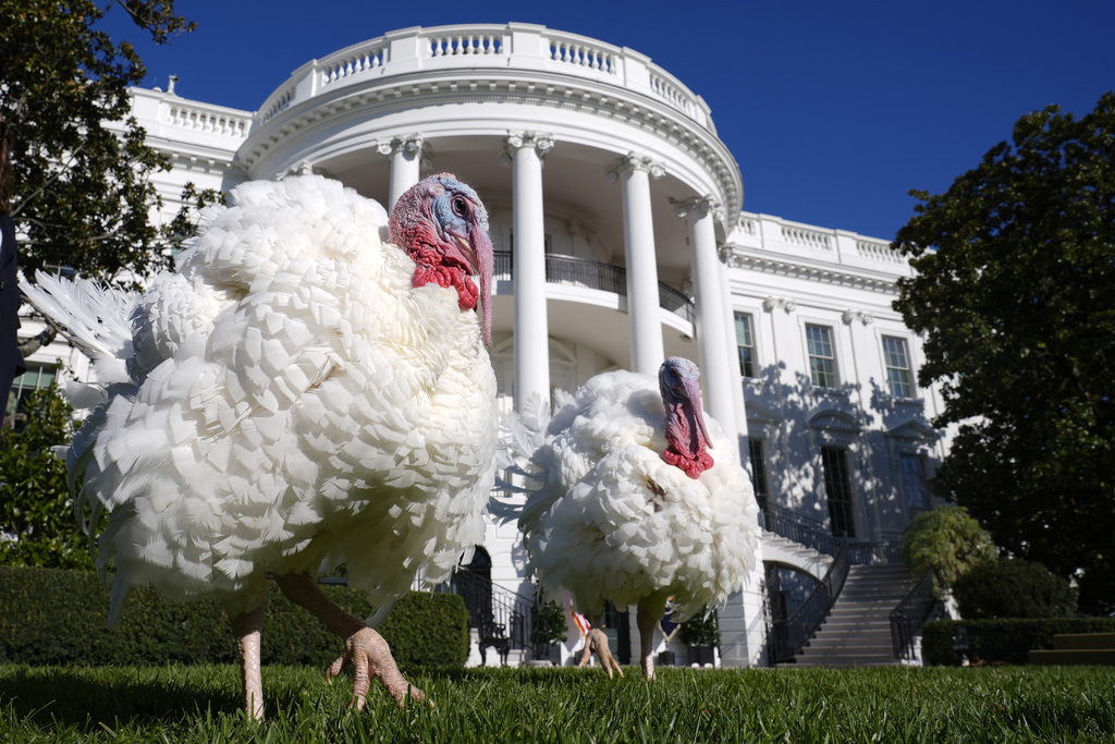 H αποικιοκρατική ιστορία του “Thanksgiving” και το κίνημα “Unthanksgiving”