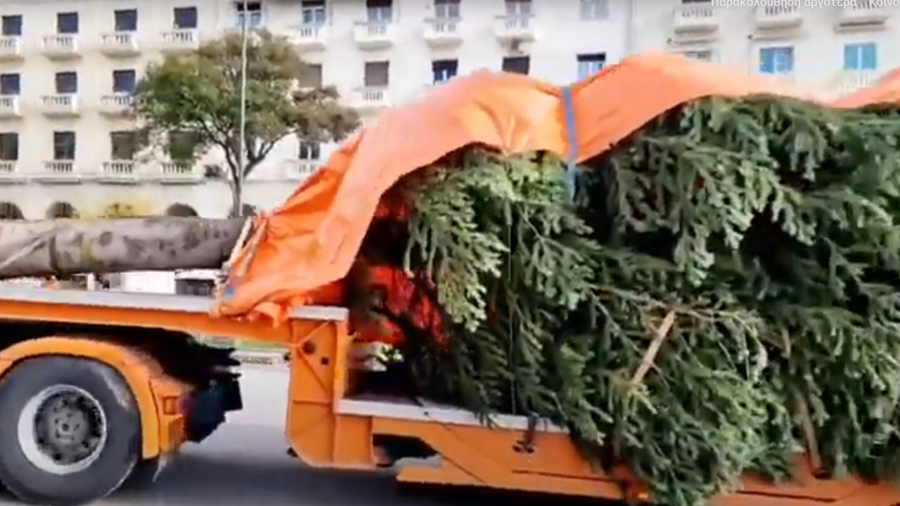 Χριστούγεννα: Έφτασε το χριστουγεννιάτικο δέντρο στην Αριστοτέλους