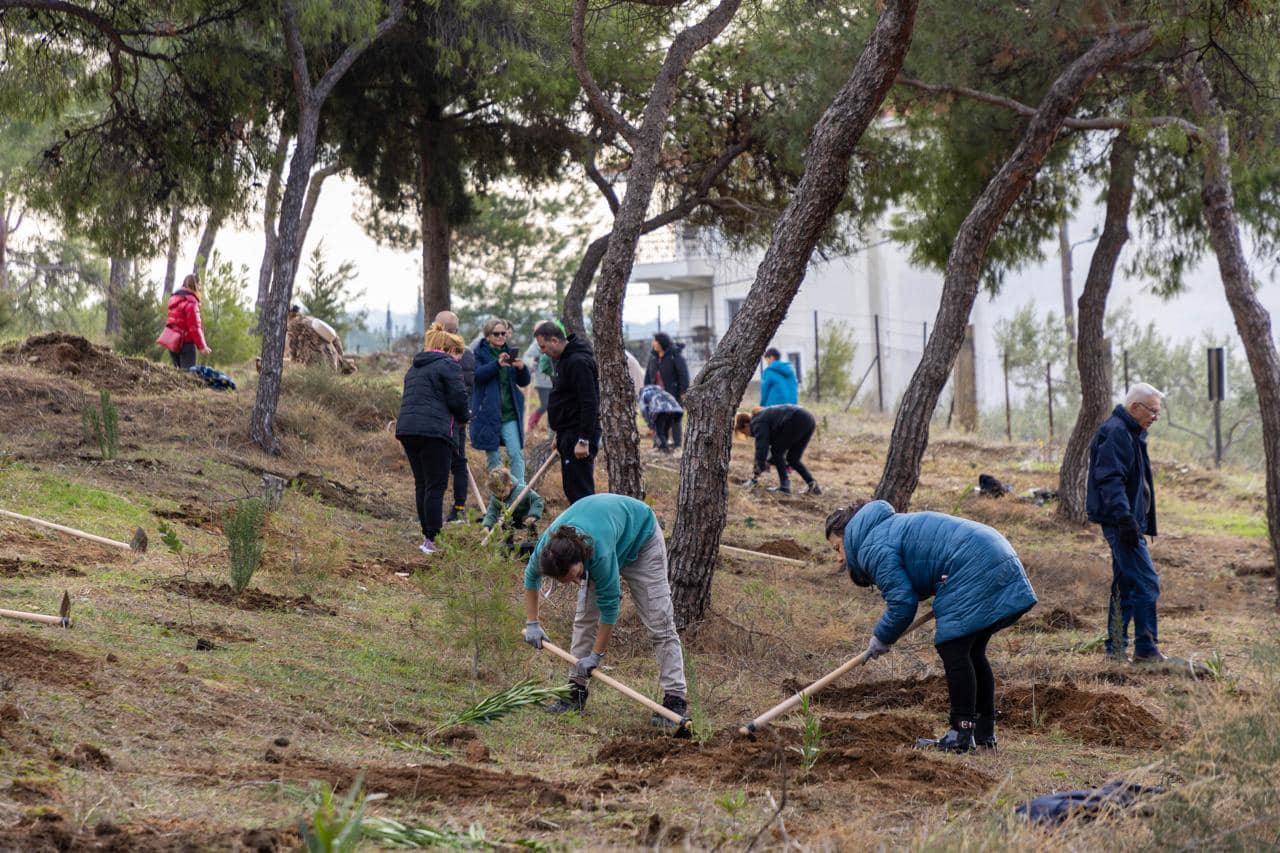 Θεσσαλονίκη: 1.000 νέα δέντρα φυτεύτηκαν σήμερα στην Τριανδρία