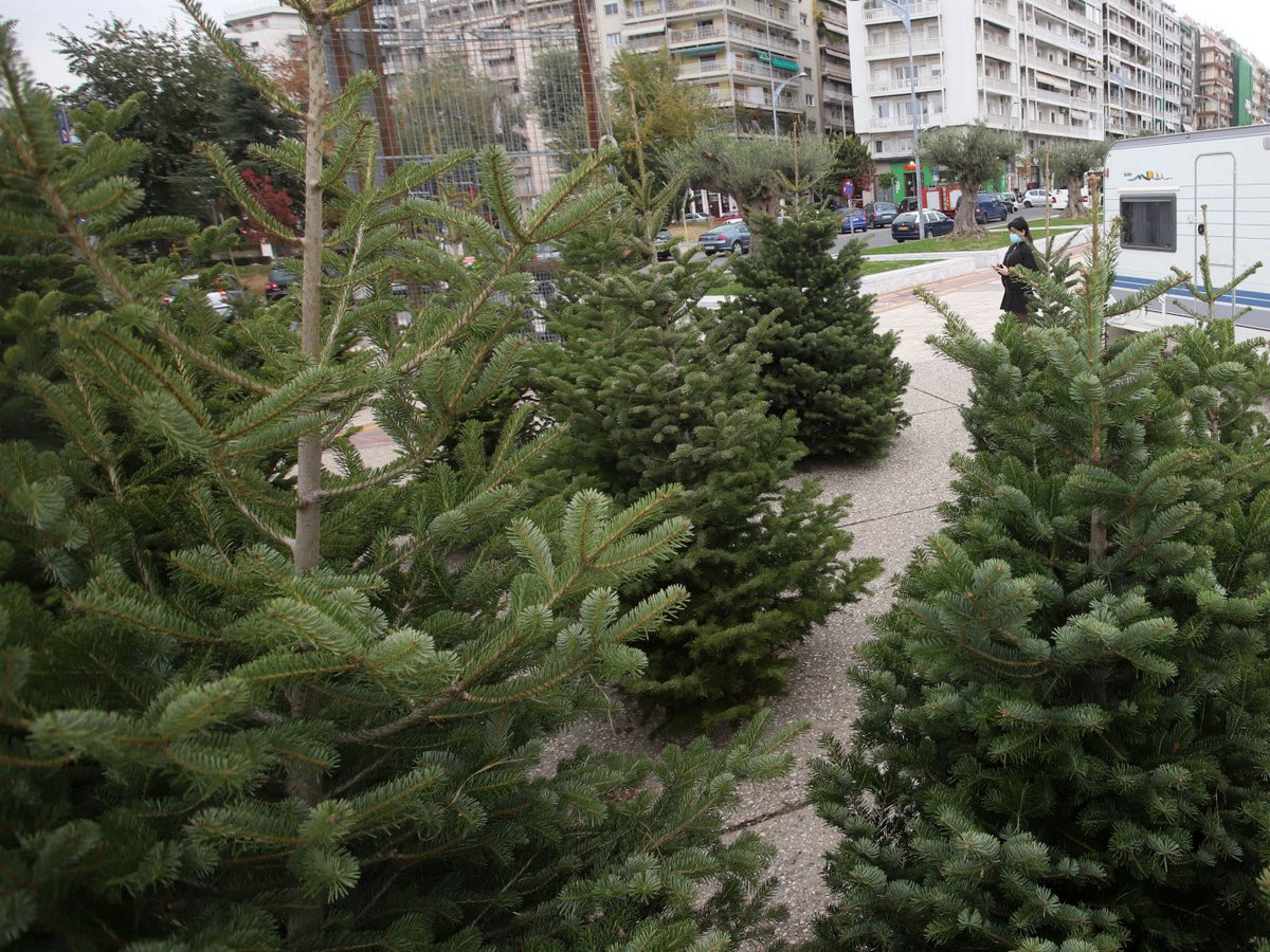 Αίθριος καιρός με θερμοκρασίες που θα φτάσουν τους 17 βαθμούς Κελσίου – Ομίχλη και παγετός στα ηπειρωτικά