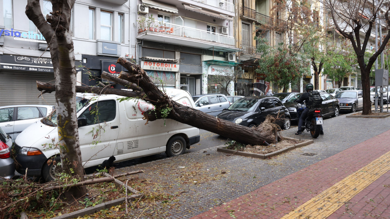 Κακοκαιρία «Bora»: Μηνυτήρια αναφορά κατά του ΔΕΔΔΗΕ από τον δήμαρχο Πυλαίας – Χορτιάτη